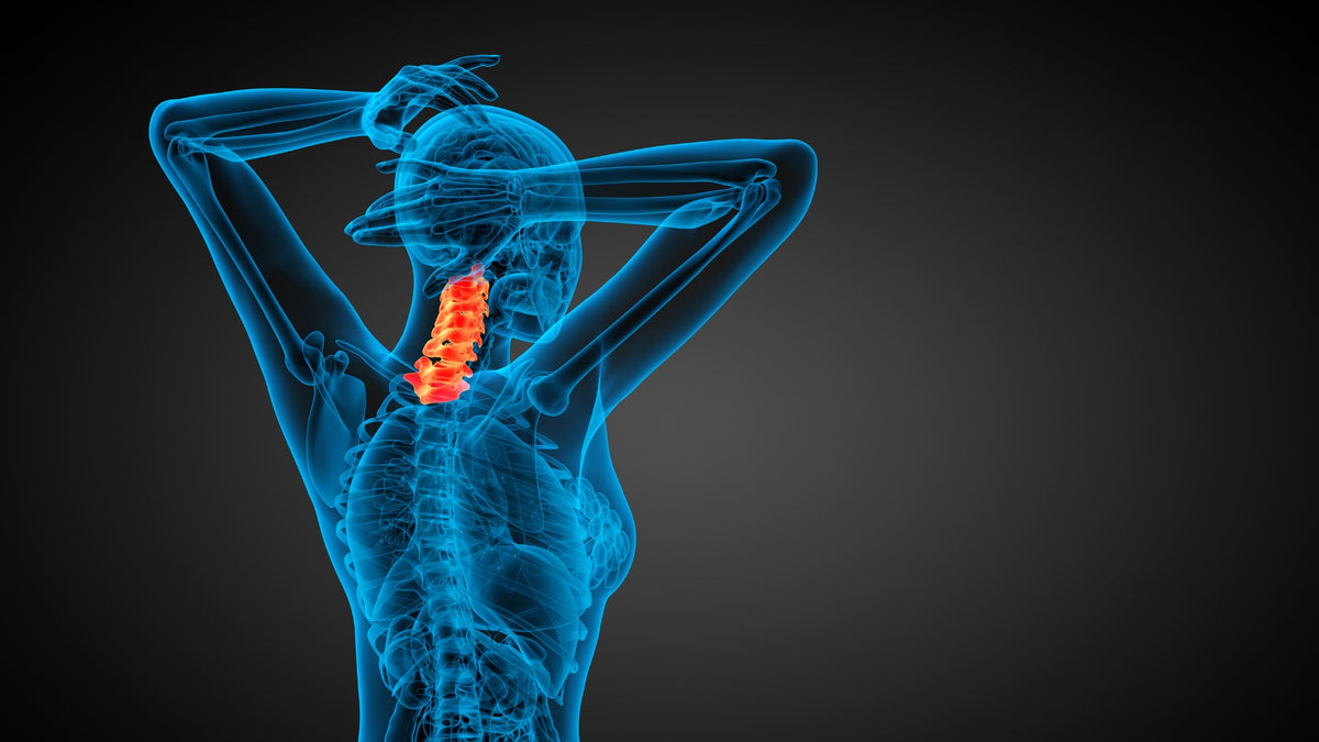 schéma anatomique simplifié des vertèbres cervicales et muscles du cou Image
